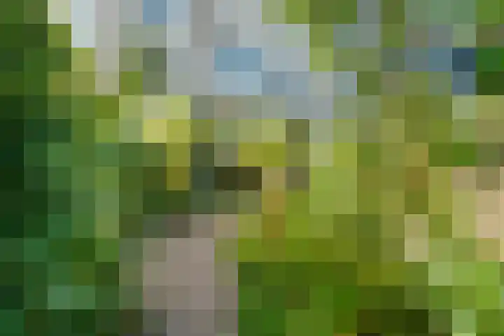 Kastanjelaan 27 Arnhem thumbnail 46