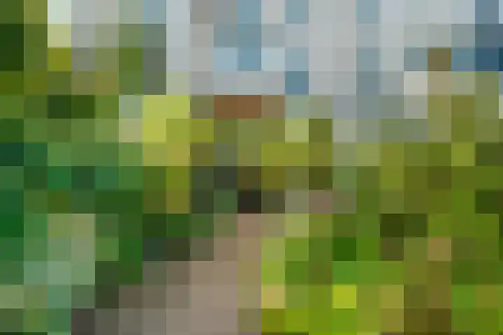 Kastanjelaan 27 Arnhem thumbnail 47