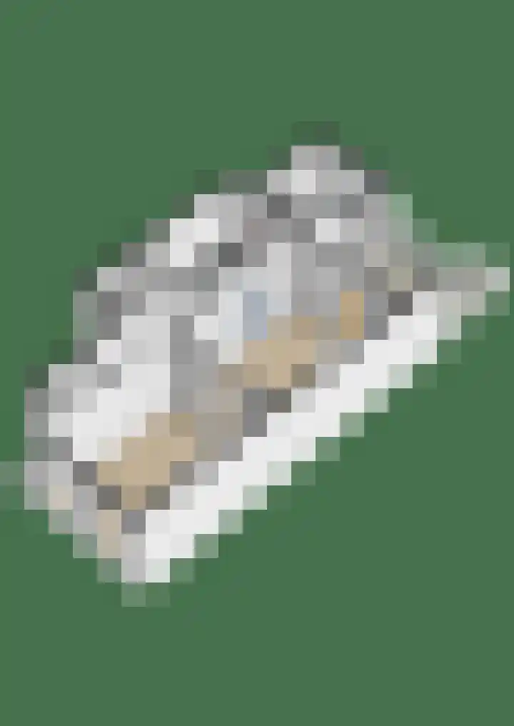 Kastanjelaan 27 Arnhem thumbnail 52