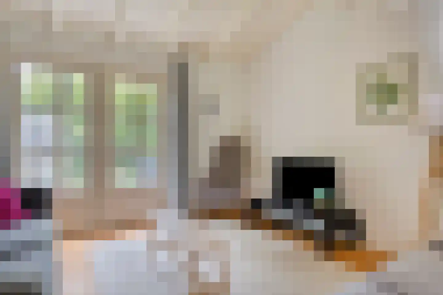 Kastanjelaan 27 Norg thumbnail 10