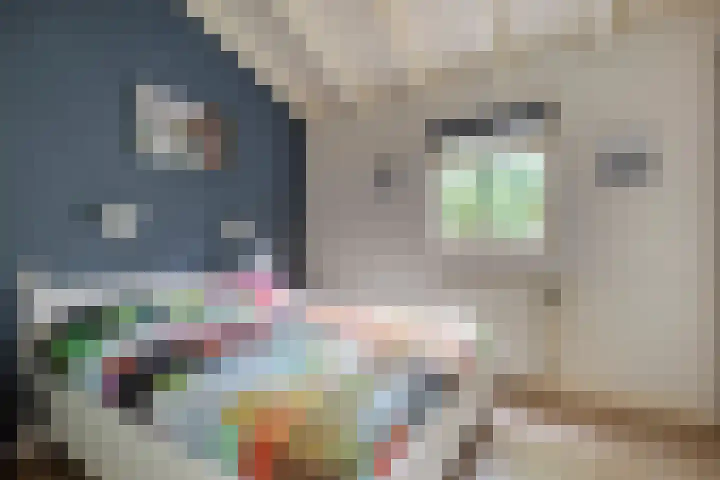 Kastanjelaan 27 Norg thumbnail 15