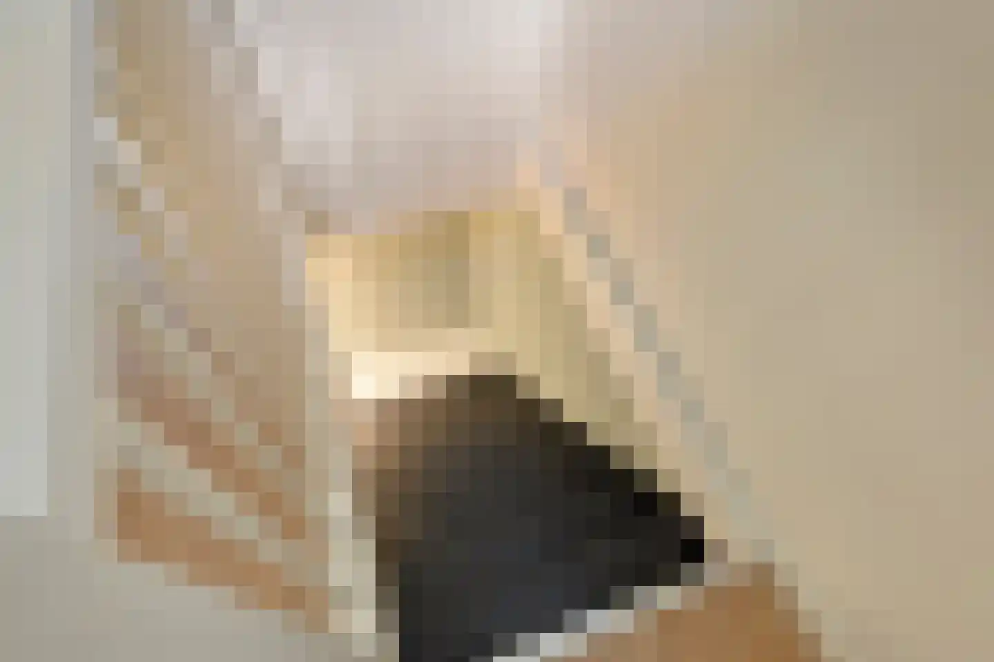 Kastanjelaan 27 Norg thumbnail 18