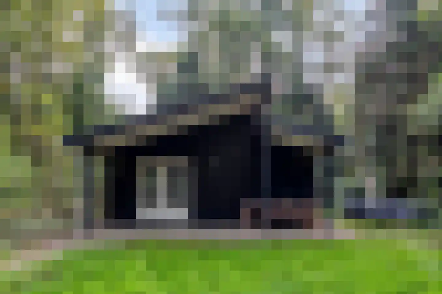 Kastanjelaan 27 Norg foto 2