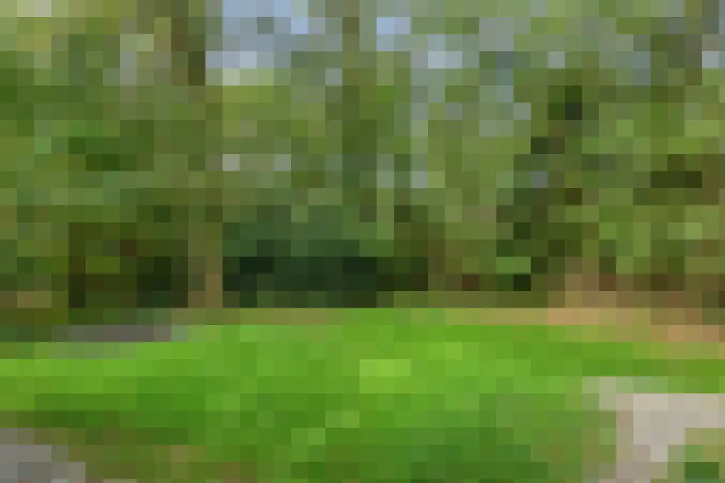 Kastanjelaan 27 Norg thumbnail 27