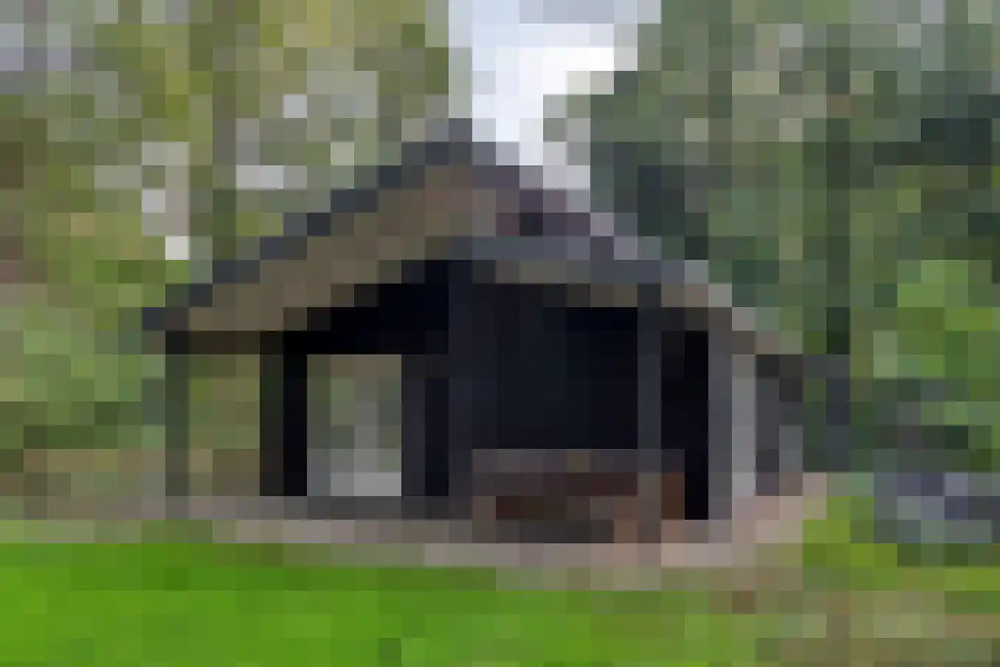 Kastanjelaan 27 Norg foto 3