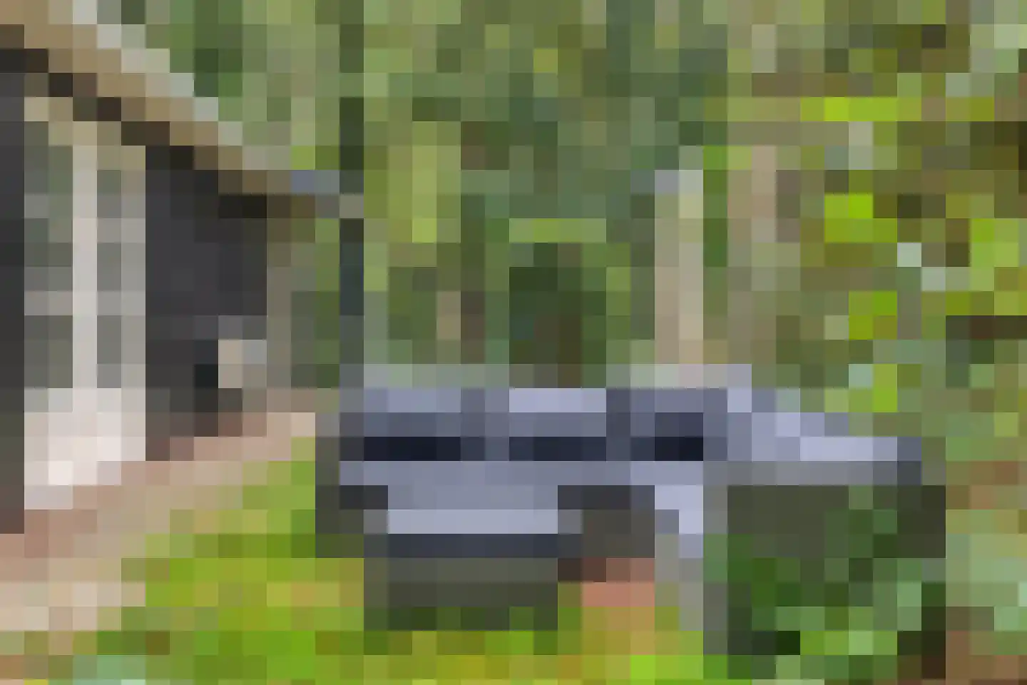 Kastanjelaan 27 Norg thumbnail 30