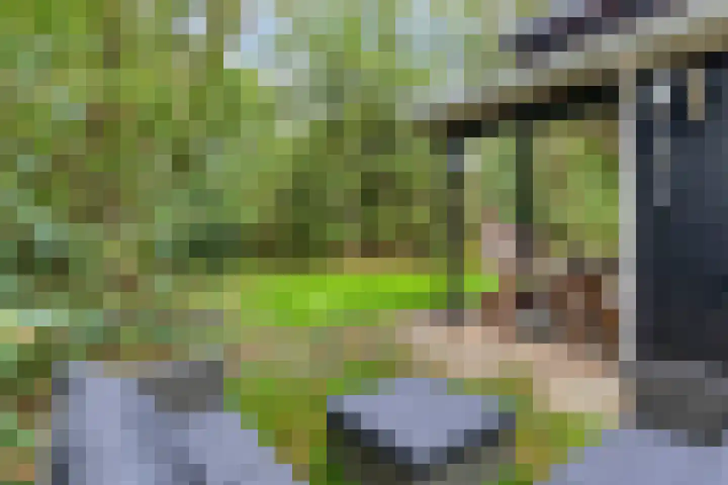 Kastanjelaan 27 Norg thumbnail 31