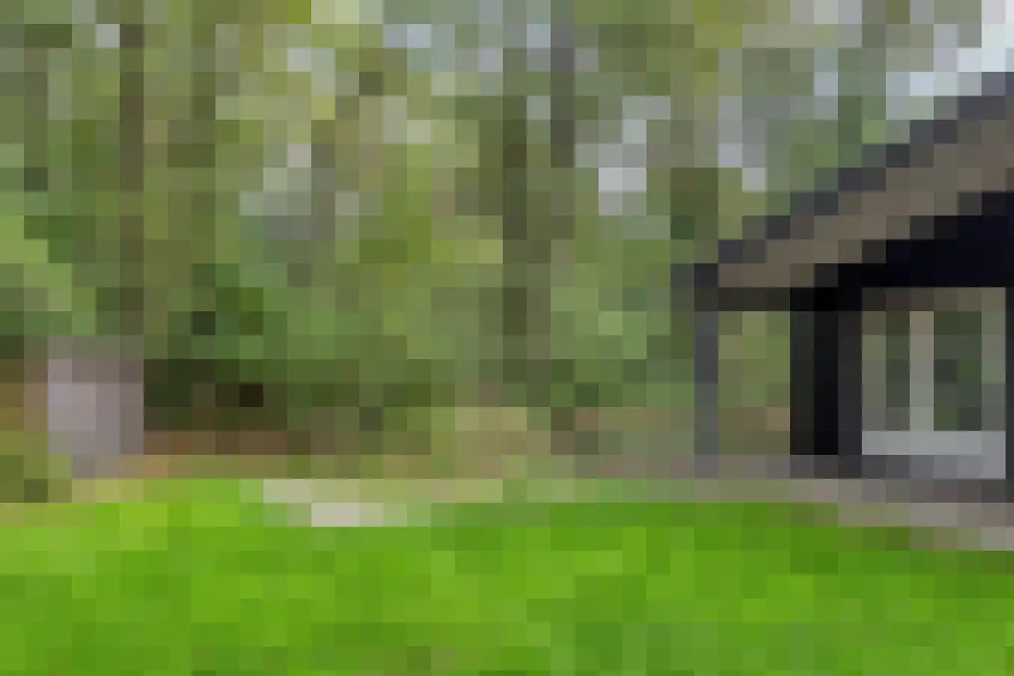 Kastanjelaan 27 Norg thumbnail 32