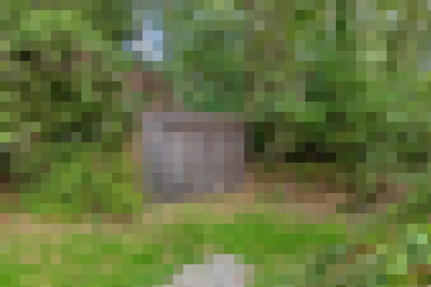 Kastanjelaan 27 Norg thumbnail 33