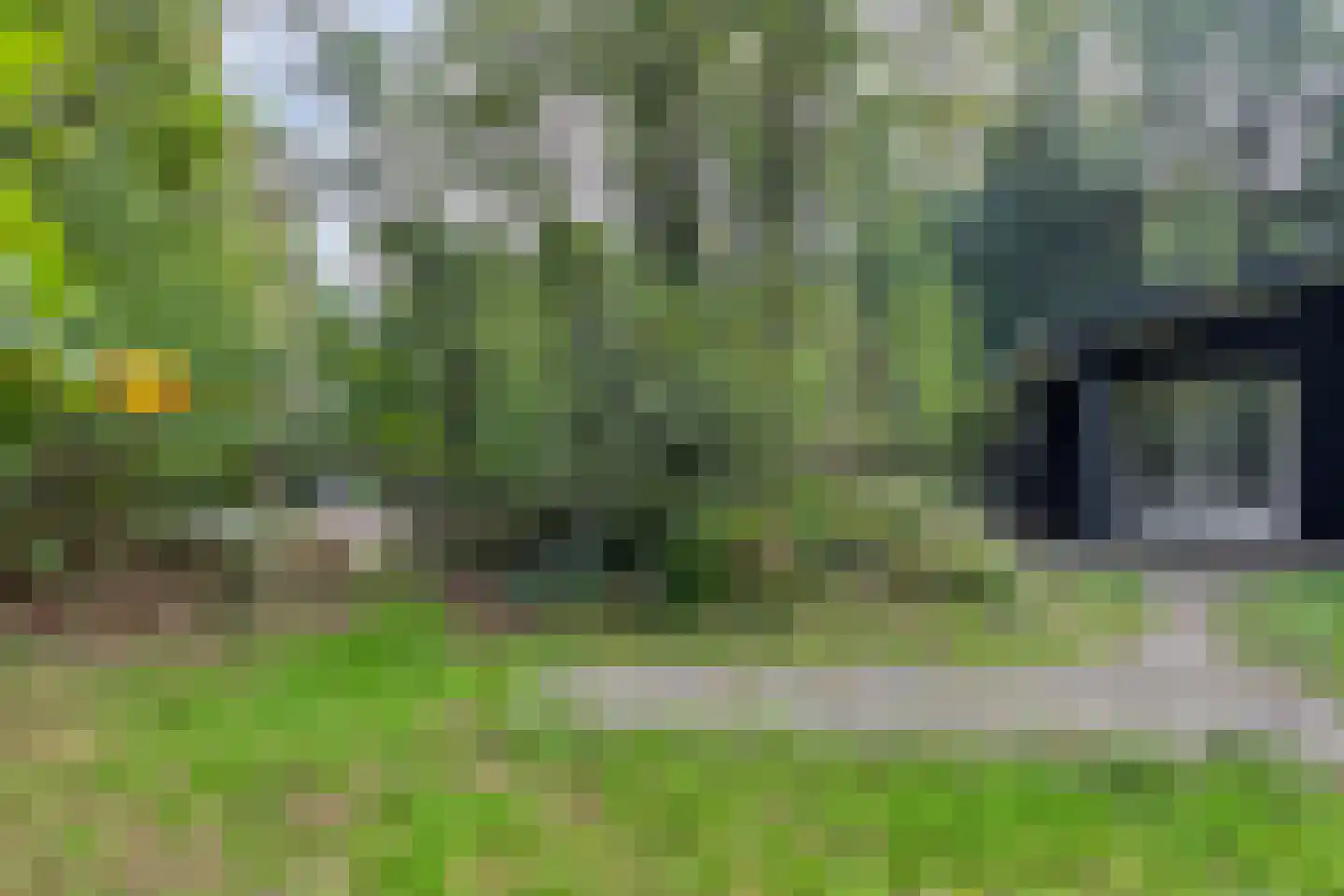 Kastanjelaan 27 Norg thumbnail 34