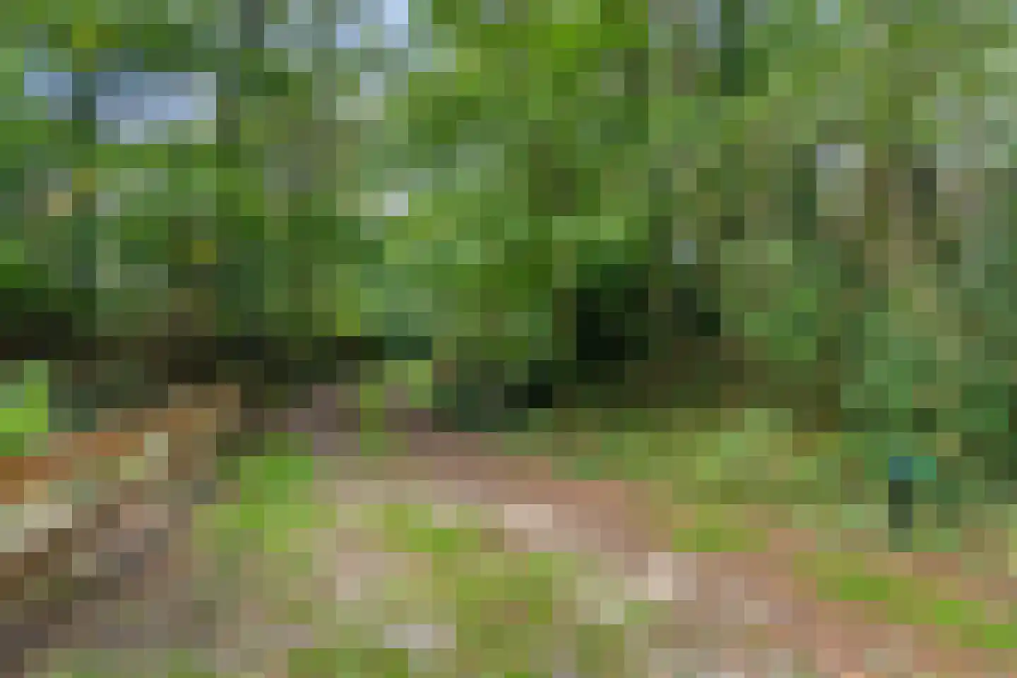 Kastanjelaan 27 Norg thumbnail 35