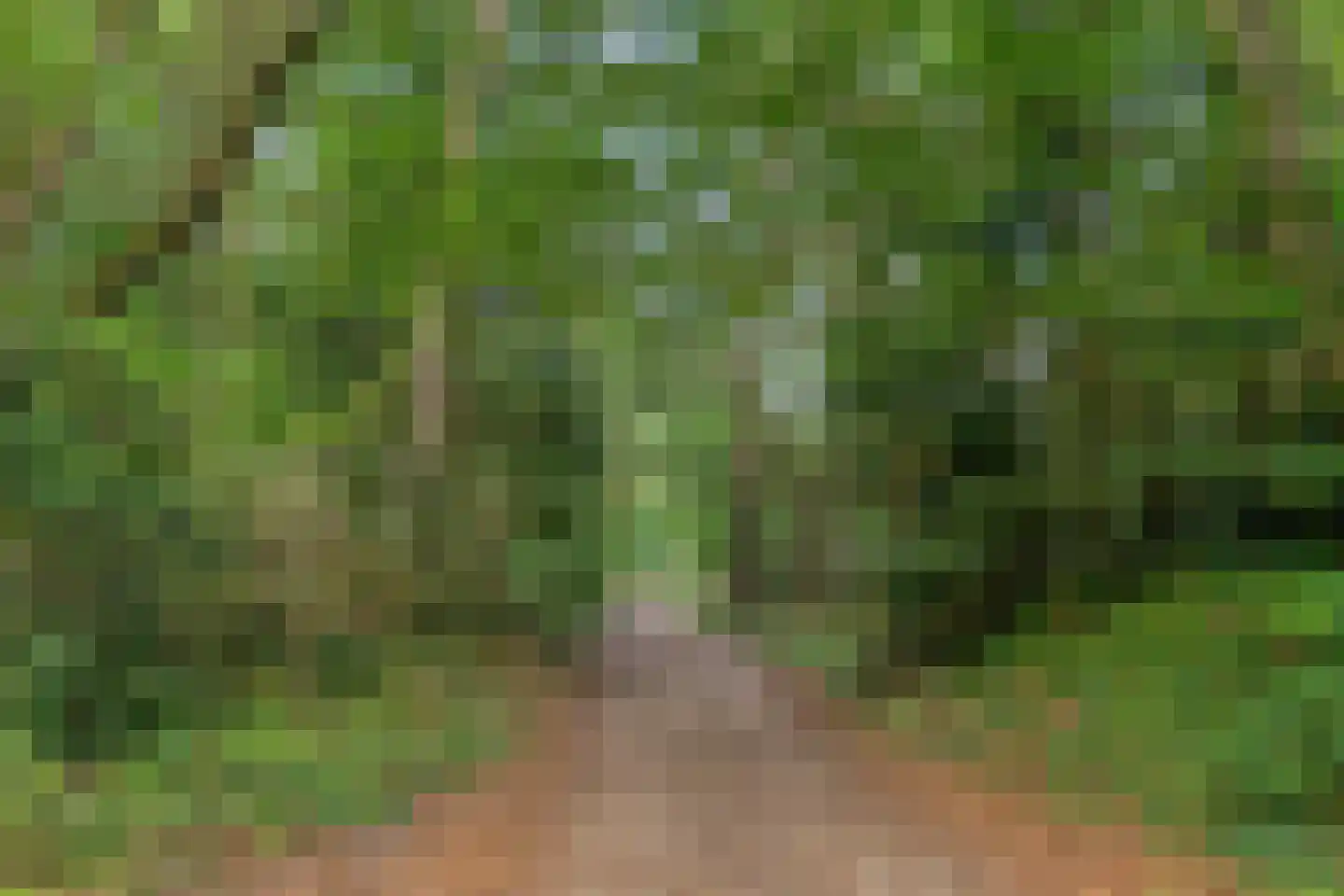 Kastanjelaan 27 Norg thumbnail 36