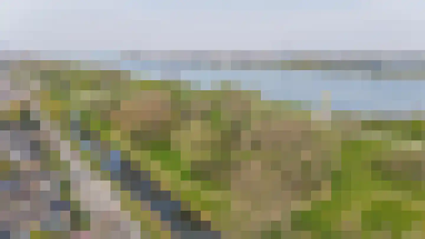 Kastanjelaan 27 Rozenburg thumbnail 41