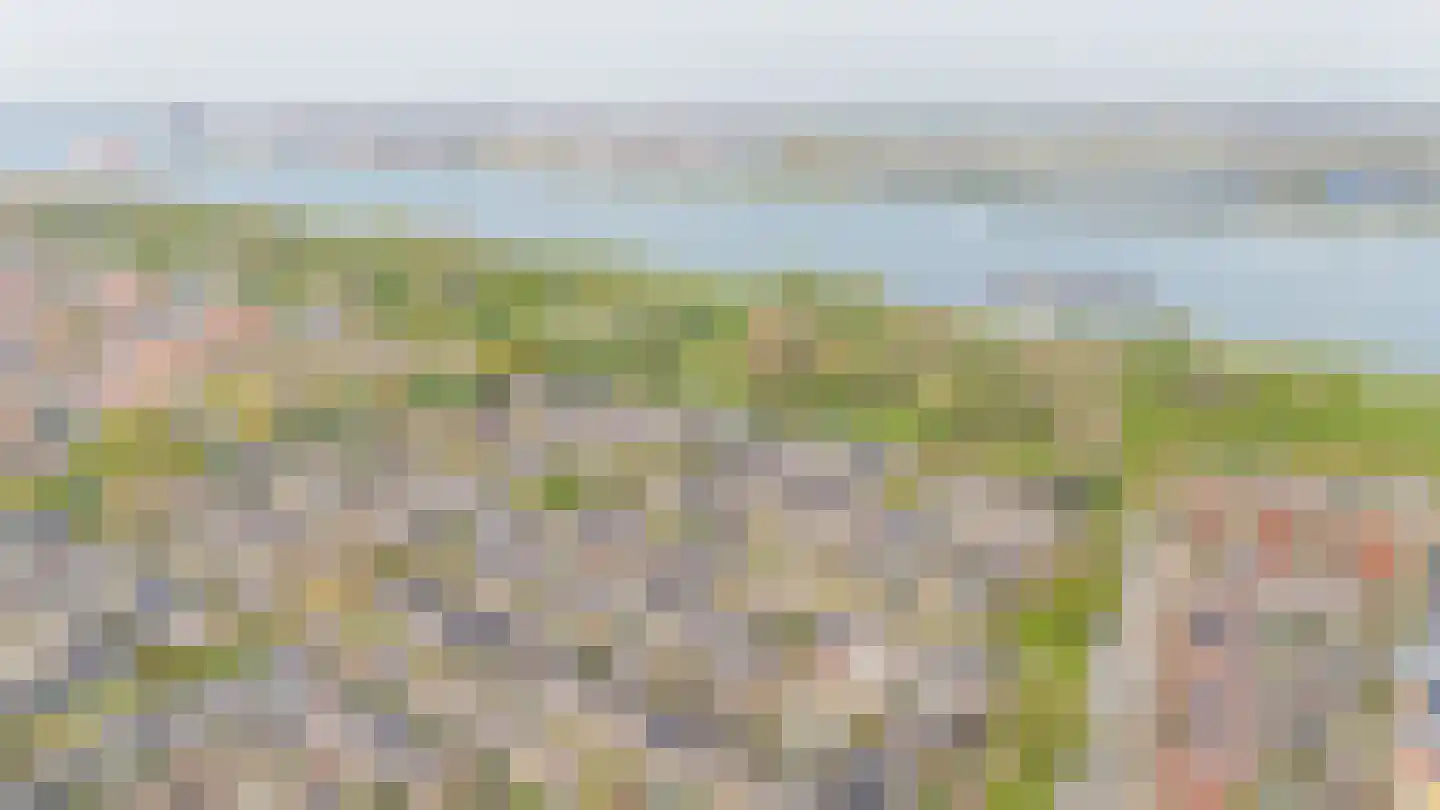 Kastanjelaan 27 Rozenburg thumbnail 42
