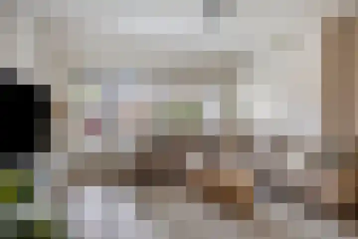 Kastanjelaan 28 Bleiswijk thumbnail 10