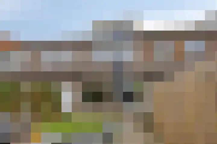 Kastanjelaan 28 Bleiswijk thumbnail 12