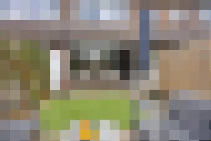 Kastanjelaan 28 Bleiswijk thumbnail 13