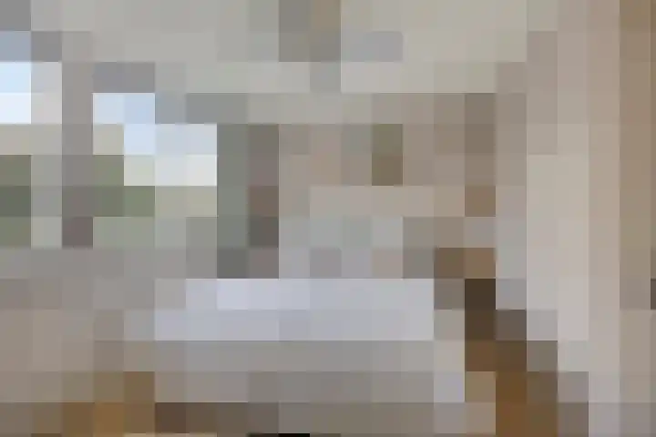 Kastanjelaan 28 Bleiswijk thumbnail 19
