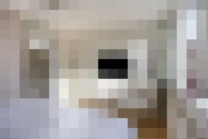 Kastanjelaan 28 Bleiswijk thumbnail 20