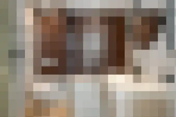 Kastanjelaan 28 Bleiswijk thumbnail 21