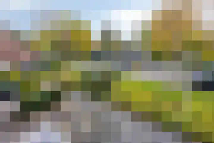 Kastanjelaan 28 Bleiswijk thumbnail 33