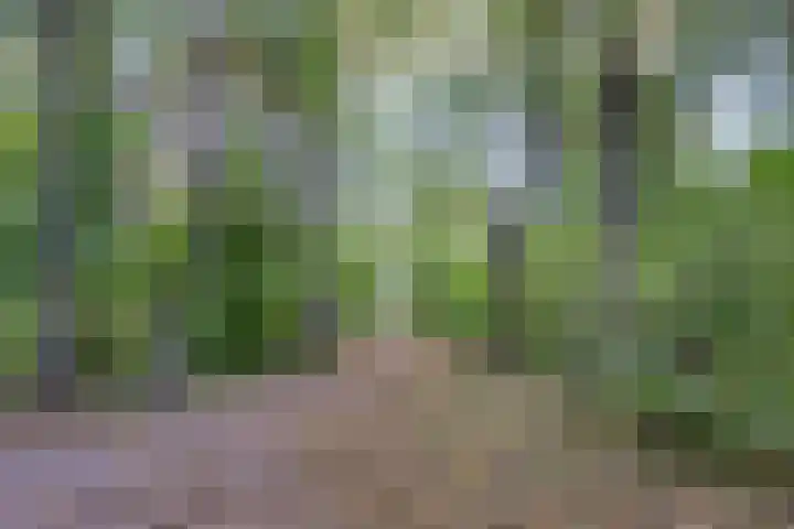 Kastanjelaan 28 Bleiswijk thumbnail 35