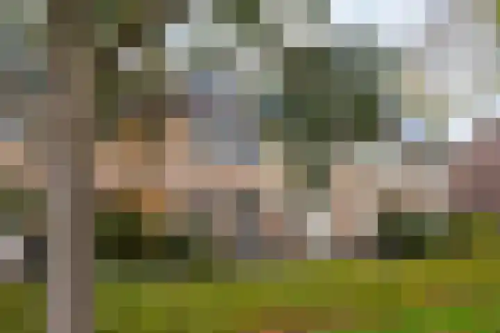 Kastanjelaan 28 Bleiswijk thumbnail 4