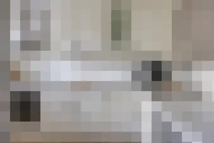 Kastanjelaan 28 Bleiswijk thumbnail 6