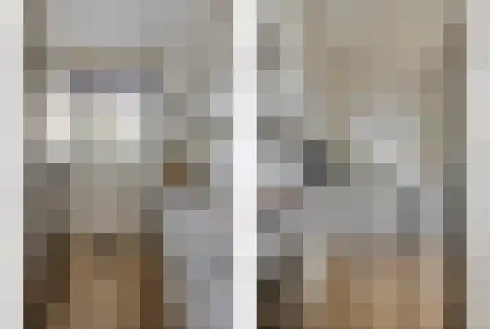 Kastanjelaan 28 Bleiswijk thumbnail 7