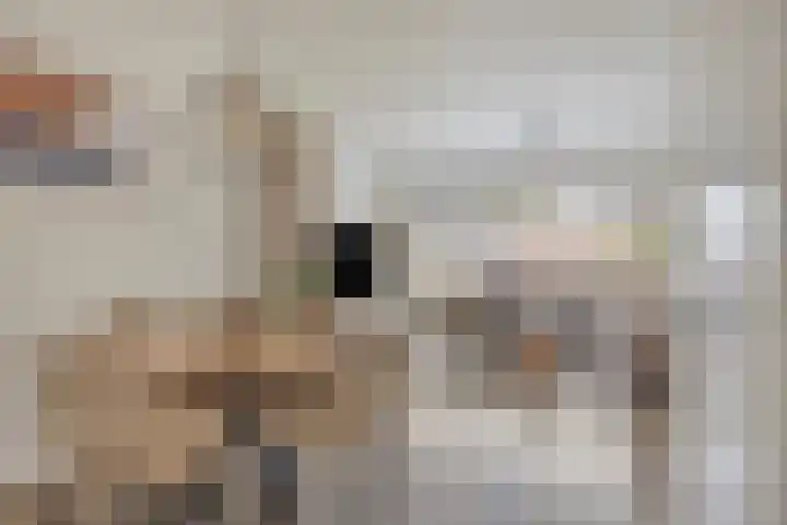 Kastanjelaan 28 Bleiswijk thumbnail 8