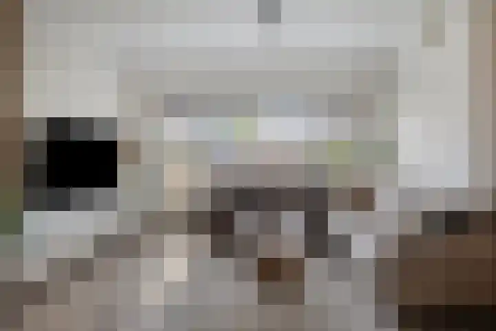 Kastanjelaan 28 Bleiswijk thumbnail 9