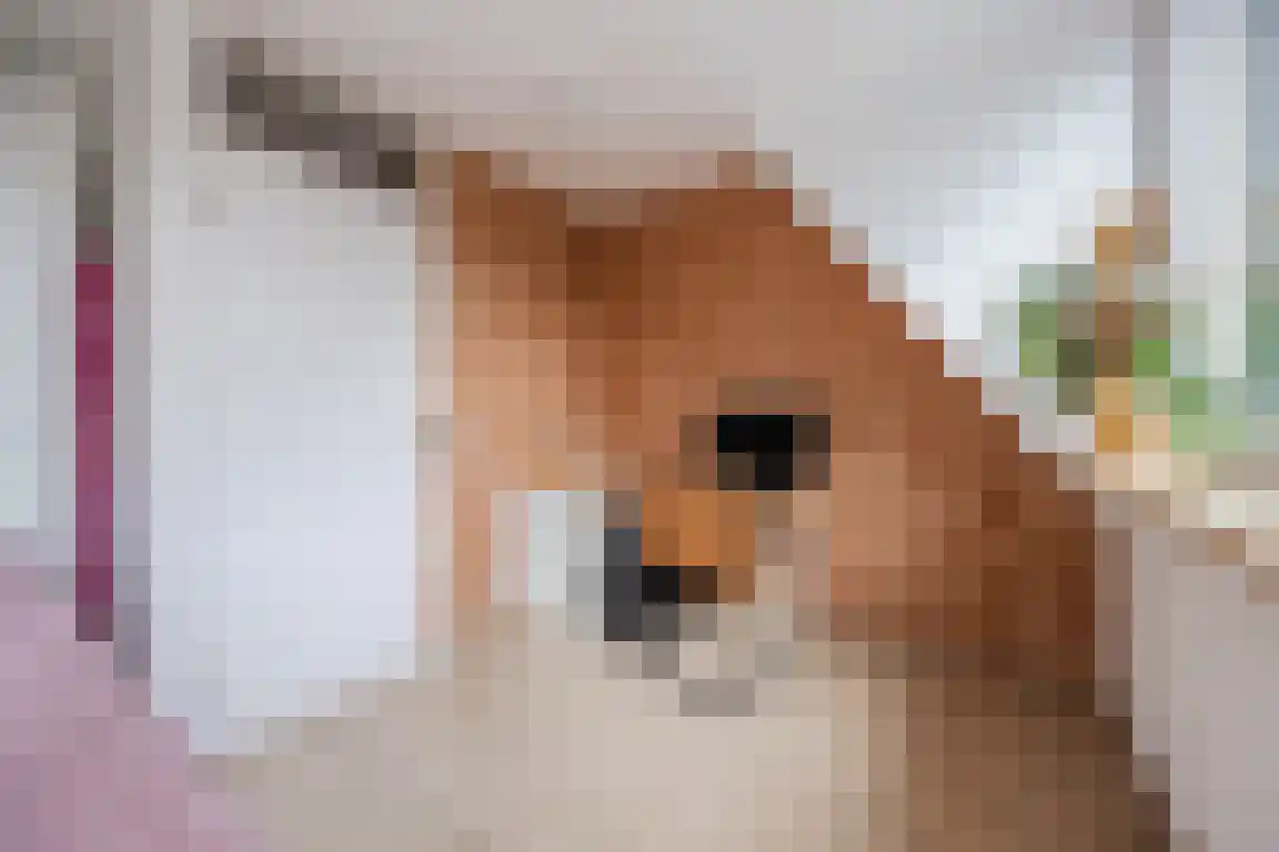 Kastanjelaan 28 Halsteren thumbnail 15