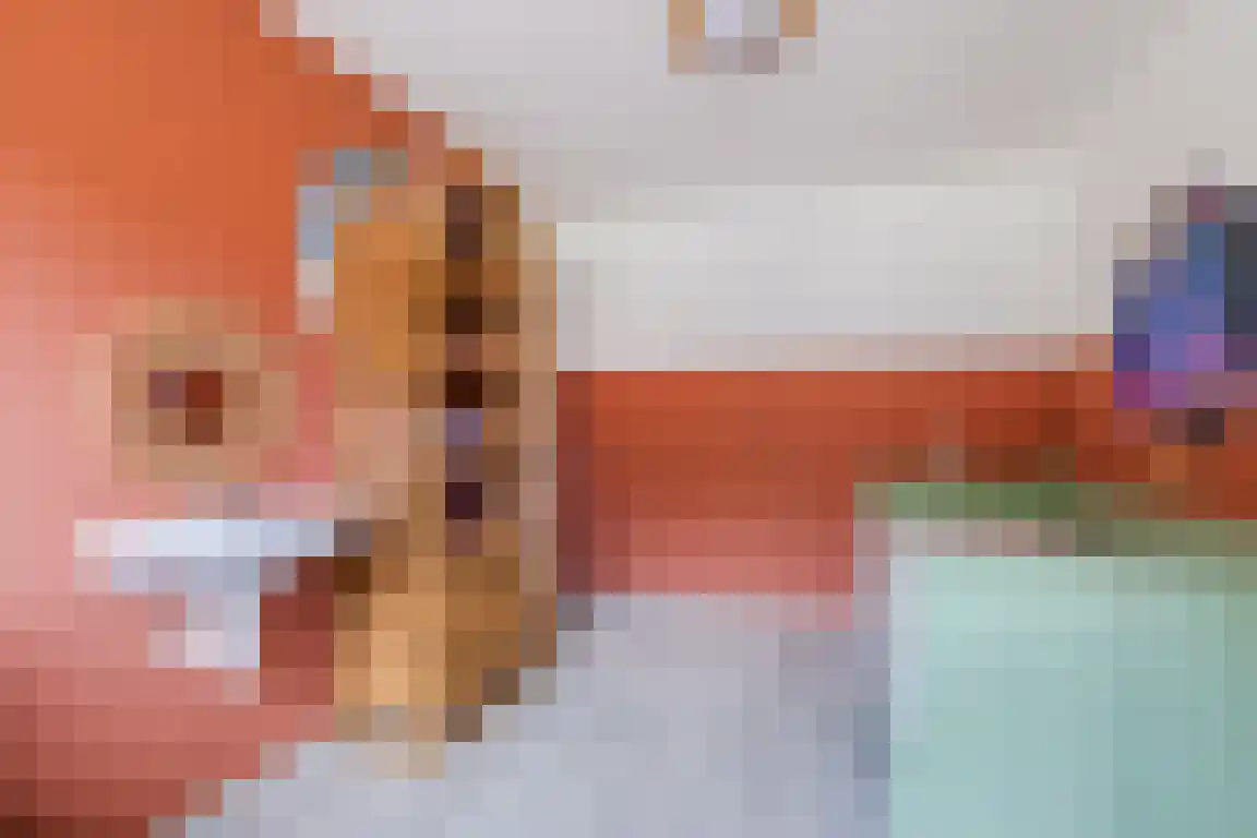 Kastanjelaan 28 Halsteren thumbnail 17
