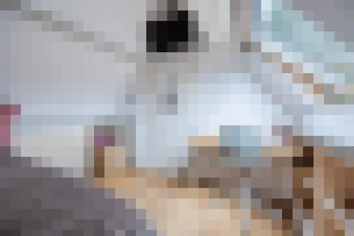 Kastanjelaan 28 Halsteren thumbnail 20