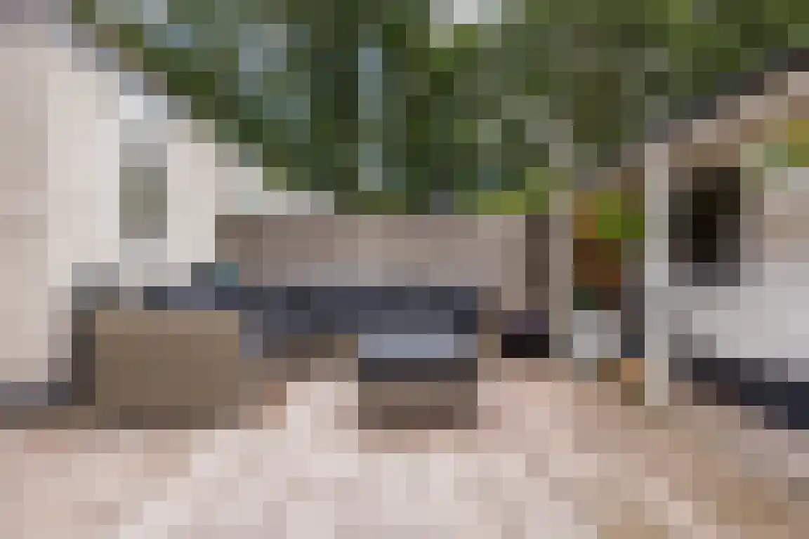 Kastanjelaan 28 Halsteren thumbnail 23