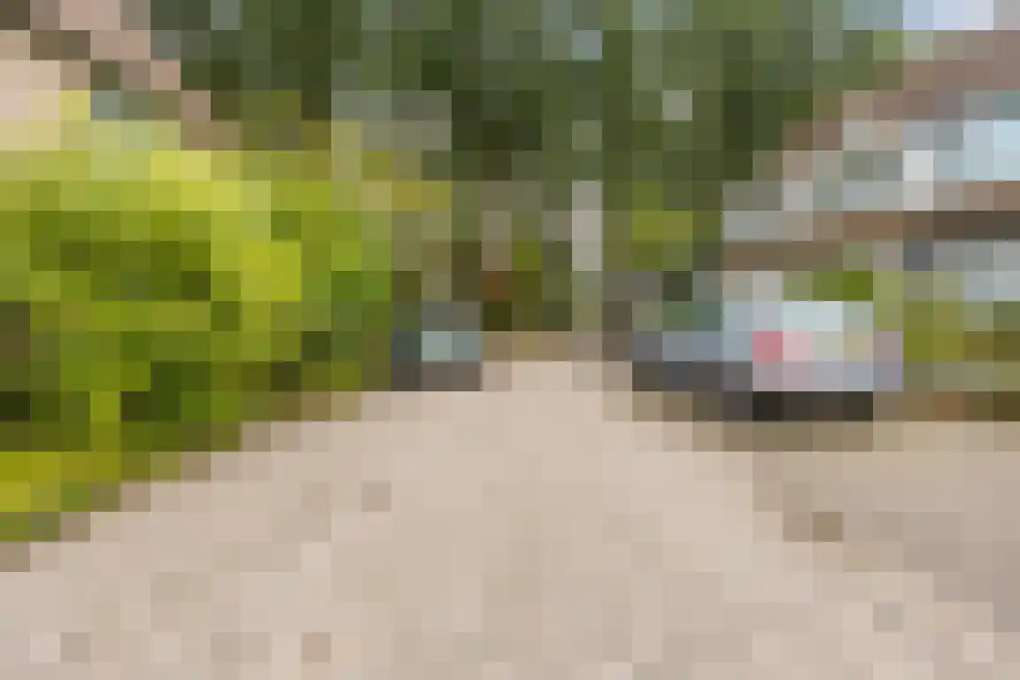 Kastanjelaan 28 Halsteren thumbnail 27