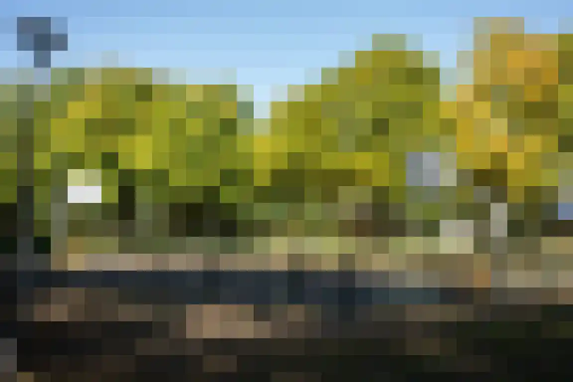 Kastanjelaan 28 Halsteren thumbnail 29