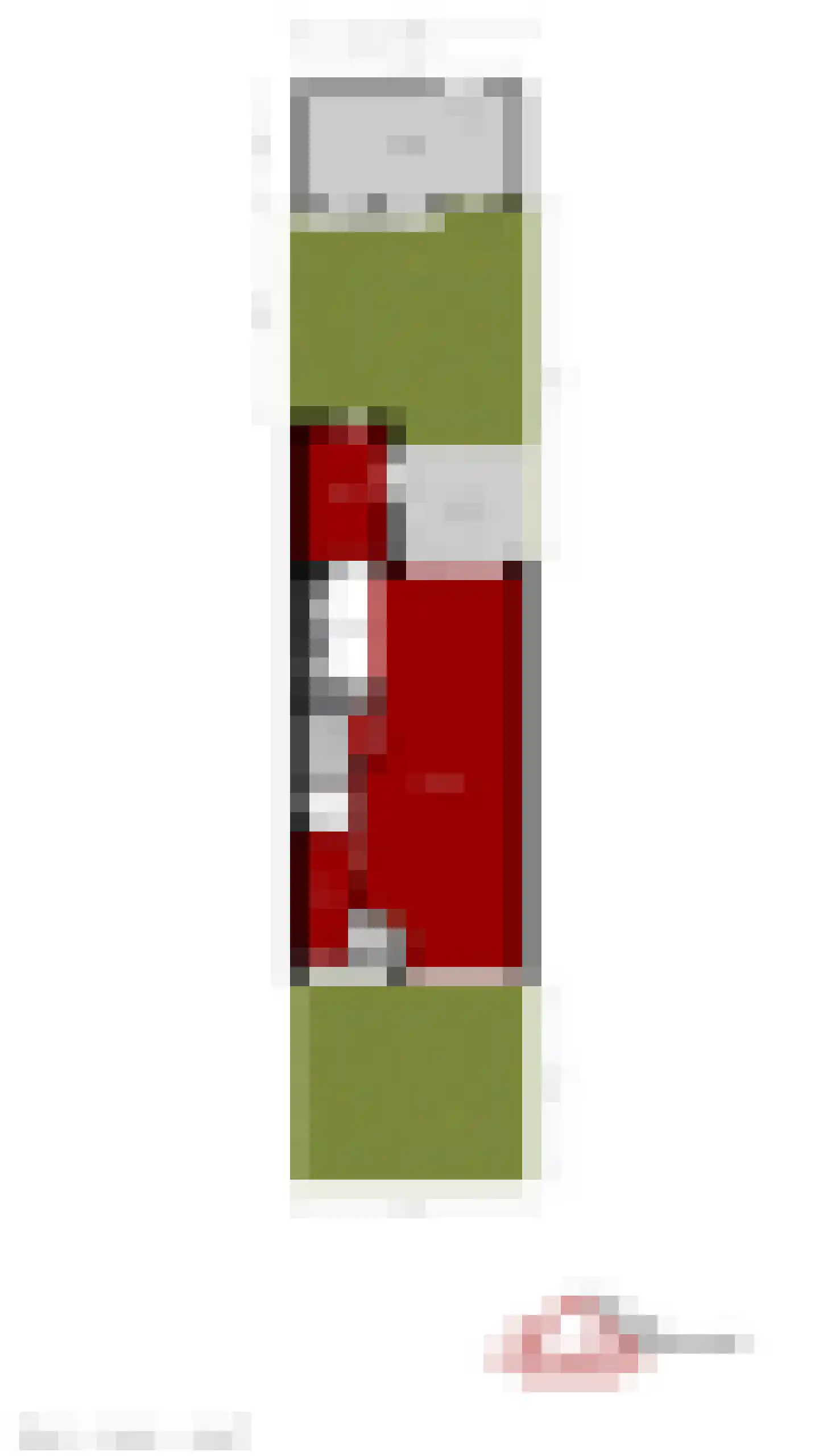 Kastanjelaan 28 Halsteren thumbnail 36