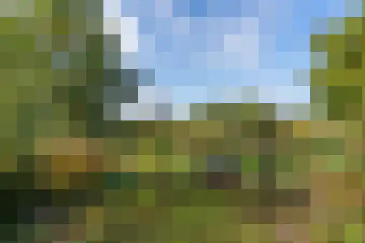 Kastanjelaan 28 Vinkel