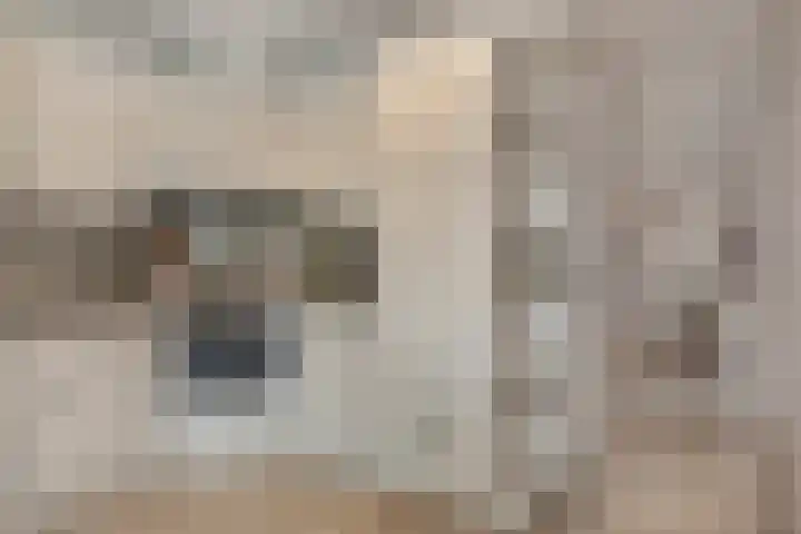 Kastanjelaan 28 Vinkel thumbnail 11