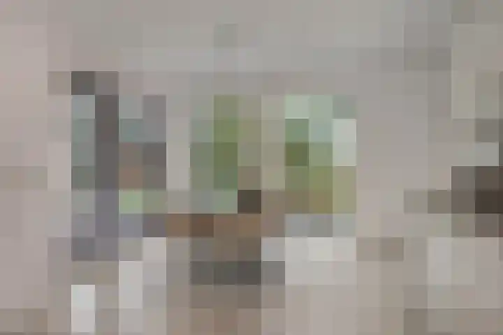 Kastanjelaan 28 Vinkel thumbnail 12