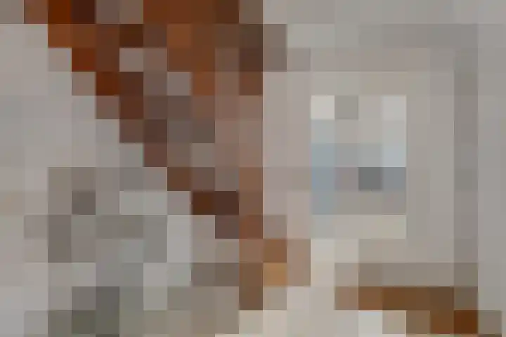 Kastanjelaan 28 Vinkel thumbnail 13