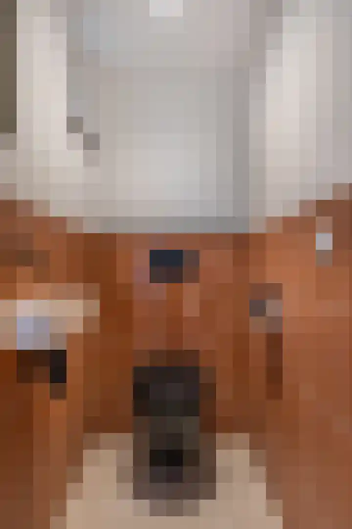 Kastanjelaan 28 Vinkel thumbnail 14