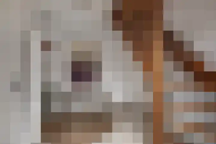 Kastanjelaan 28 Vinkel thumbnail 15