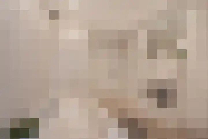 Kastanjelaan 28 Vinkel thumbnail 24