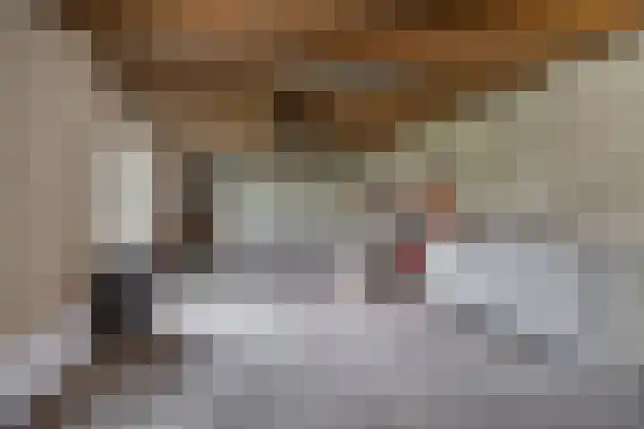 Kastanjelaan 28 Vinkel thumbnail 26