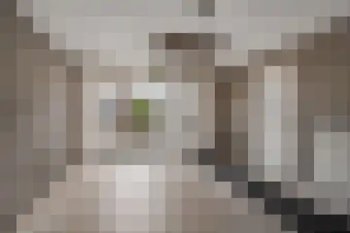 Kastanjelaan 28 Vinkel thumbnail 27