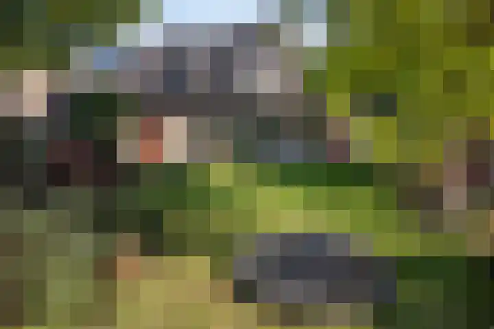 Kastanjelaan 28 Vinkel thumbnail 28