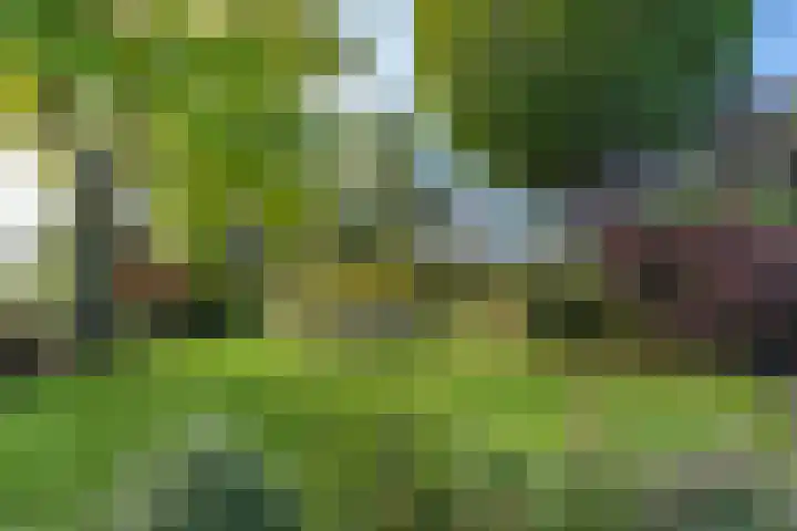 Kastanjelaan 28 Vinkel thumbnail 30