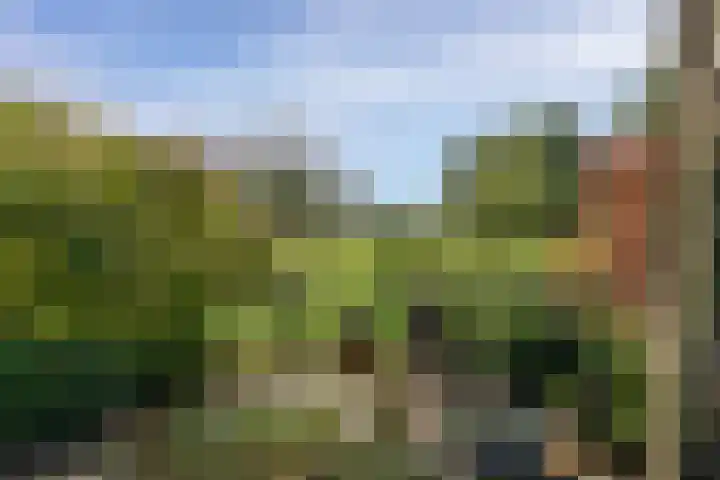 Kastanjelaan 28 Vinkel thumbnail 31